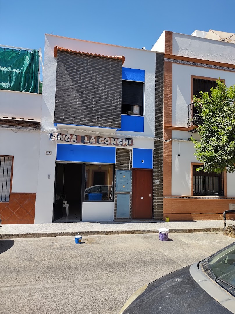 Pintor Francisco Javier Verdute Andaluz — Fotos 3